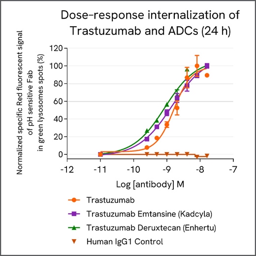 Dose–response analysis of Trastuzumab and antibody–drug conjugates (ADCs) in BT-474 cells after 24 hours.
